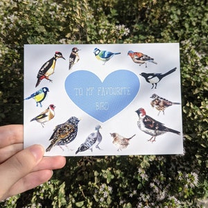 Cartão postal de amor engraçado de pássaro A6, cartão galentine de amante de pássaros, impressão A6 reciclada do dia dos namorados, impressão de pássaros britânicos, cartão engraçado, arte de zoologia A6, eco