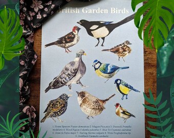 A4 recycled bird print, watercolor drawing, bird info gift, wall art, save the garden bird lover, wall décor/ animal wall décor/ handmade