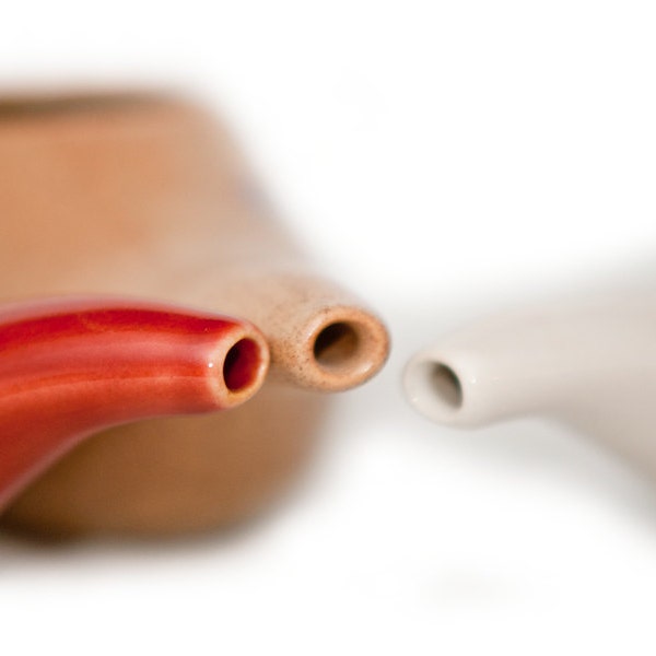Neti Pot - Etsy