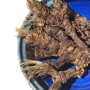 Organic Osha Root: 1lb Whole Dried Ligusticum Porteri, Wildcrafted