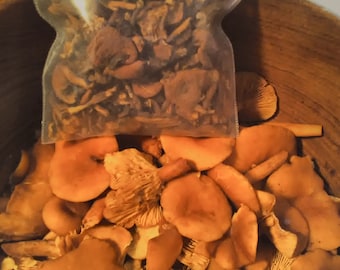 Dried Candy Cap Mushrooms