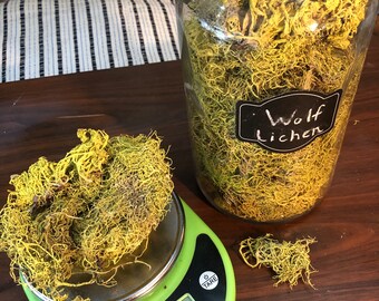 Dried Wolf Lichen for Natural Dye