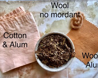 Natural Dye - 2 oz. Crushed Loquat Leaves for Orange Hues