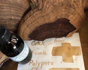 Wild Mushroom Writing Ink (CONK)