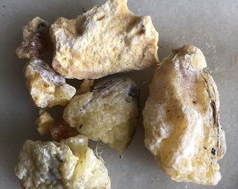 Wild Foraged Monterey Pine Resin 2 oz