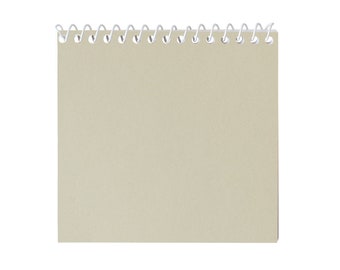 Paper Frenzy Light Green 12 pack Mini Note Pad Favors