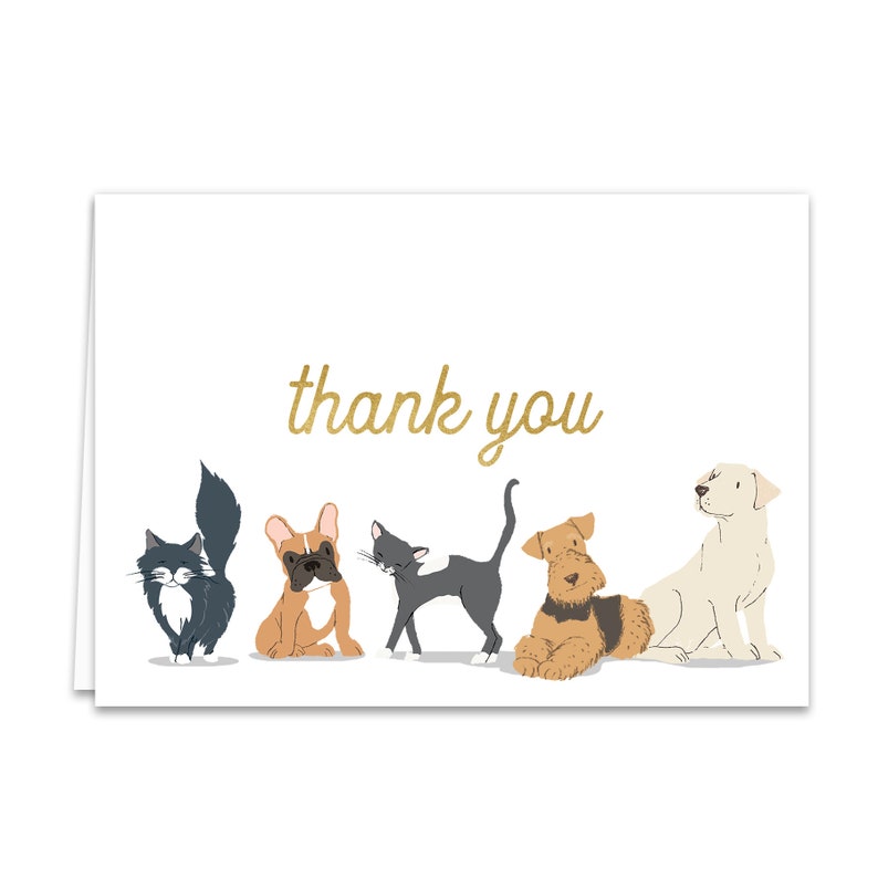 Dog and Cat Thank You Note Cards Etsy