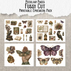 May include: A printable ephemera pack titled Peculiar Pages Fussy Cut featuring vintage-style illustrations of ravens, butterflies, moths, books, candles, lanterns, envelopes, mushrooms, and botanical elements arranged on four separate white sheets.