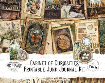 May include: A collection of vintage-style illustrations and ephemera, featuring butterflies, crystals, and botanical elements. The text "Cabinet of Curiosities Printable Junk Journal Kit" is displayed. The kit includes 31 pages of printable designs.