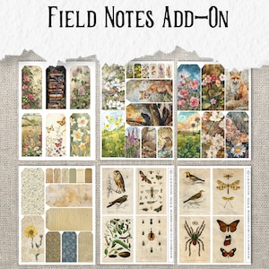 May include: A set of vintage-style printable digital paper featuring floral, animal, and insect illustrations. The paper is perfect for scrapbooking, card making, and other craft projects.