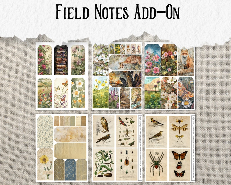 May include: A set of vintage-style printable digital paper featuring floral, animal, and insect illustrations. The paper is perfect for scrapbooking, card making, and other craft projects.