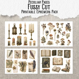 May include: A printable ephemera pack titled Peculiar Pages Fussy Cut featuring four sheets of illustrations including candles, lanterns, botanical elements like mushrooms and flowers, vintage paper scraps, feathers, and antique books.