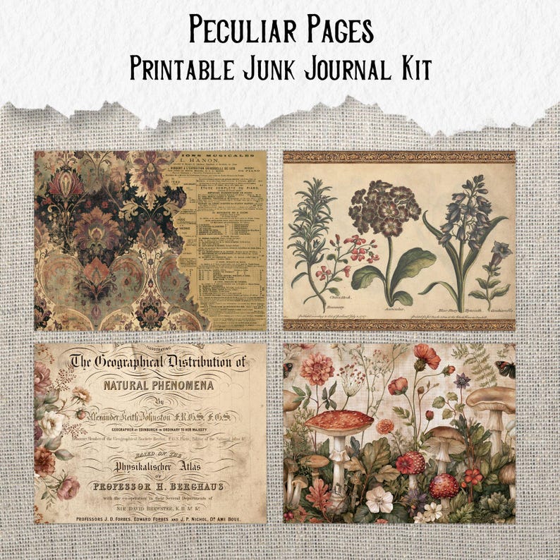 Op de afbeelding: Een printbare junk journal kit genaamd Peculiar Pages met vier verschillende vellen. De ontwerpen bevatten een damastpatroon met muziektekst, botanische bloemenillustraties, een vintage geografisch document en een bossc&egrave;ne met paddenstoelen.