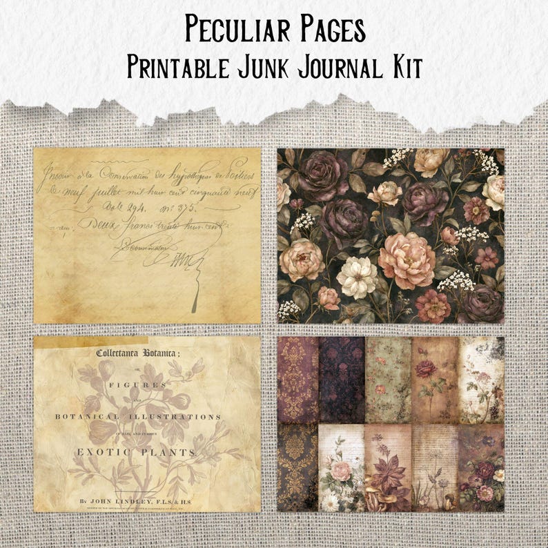 Op de afbeelding: Een printbare junk journal kit genaamd Peculiar Pages, bestaande uit vier verschillende secties: beige verouderd papier met cursief handschrift, een donker bloemenpatroon, een botanische illustratiepagina met tekst en een raster van diverse vintage papierontwerpen.
