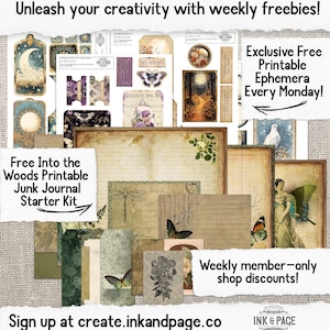 May include: A digital printable kit for junk journaling featuring a woodland theme. The kit includes a variety of images, including butterflies, flowers, and a dragonfly. The text "Free Into the Woods Printable Junk Journal Starter Kit" is included in the image.