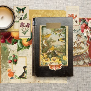 May include: A vintage-style scrapbook page with a brown leather-bound journal, featuring a collage of images including birds, butterflies, flowers, and a woman in a vintage dress. The journal has a gold-toned clasp and a decorative paper cover.