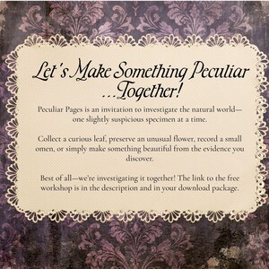 May include: A rectangular cream-coloured card with a scalloped lace-like border set against a dark purple damask background. The text reads: Let's Make Something Peculiar...Together! Peculiar Pages is an invitation to investigate the natural world.
