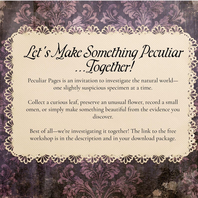 May include: A rectangular cream-coloured card with a scalloped lace-like border set against a dark purple damask background. The text reads: Let's Make Something Peculiar...Together! Peculiar Pages is an invitation to investigate the natural world.