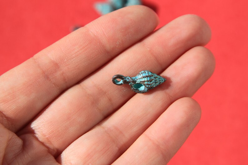 May include: A small, turquoise-colored seashell pendant with a dark brown loop for hanging. The shell has detailed ridges and a textured surface. The pendant is held in a hand against a red background.