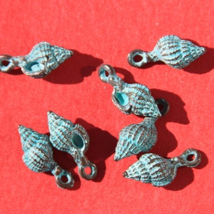 May include: Six small, turquoise-colored seashell charms with a bronze-colored finish and attached loops. The charms are scattered on a red background. The seashells have a detailed, textured surface.
