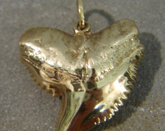 Tiger Shark Solid Gold (9ct) UK Hallmarked Tooth Pendant