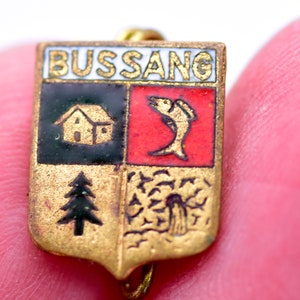 Scarce BUSSANG Coat of arms badge Enamel