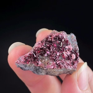 Deep Red Erytherite Crystals on Mateix, Bou Azzer District, Morocco