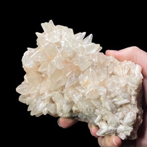 FLUORESCENT Dogtooth Calcite Crystals on Fluorite