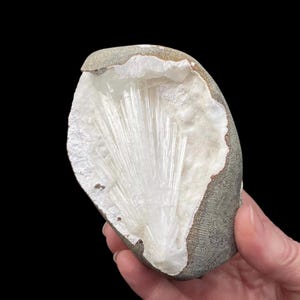 Radiating Scolecite Crystals with Heulandite, Mordenite & Quartz in Trimmed Basalt Pocket