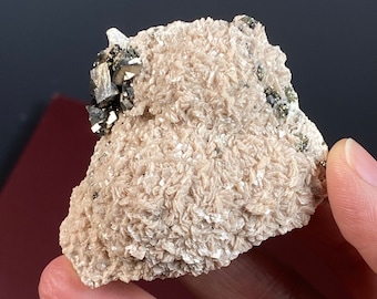 Kosovo Rhodochrosite Crystal Cluster with Arsenopyrite from Trepça Mines