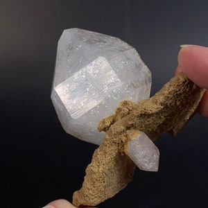 Doubly Terminated Quartz Crystals with “Bird Wing” Remnant of Sediment Matrix with Needle Quartz