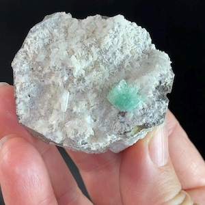 Op de afbeelding: Close-up van een mineraal specimen. De lichtgrijze matrix is bedekt met witte kristalformaties. Een levendige, lichtgroene kristalgroep wordt getoond en voegt een vleugje kleur toe aan de natuursteen.