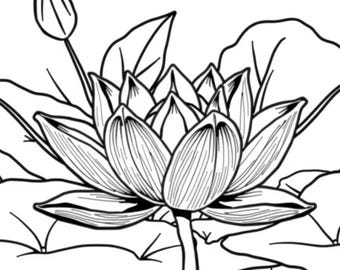 My First Flower Garden Coloring Book