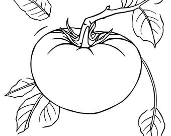 Fruit-tastic Coloring Fun! 25 fruits to color, learn, and enjoy!
