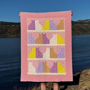 Pink Peter Rabbit Cat Quilt With Fleece Backing - Soft Handmade Crib Size Baby Blanket