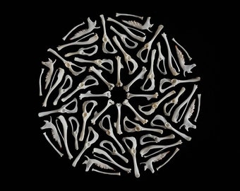 Real Owl Pellets Etsy