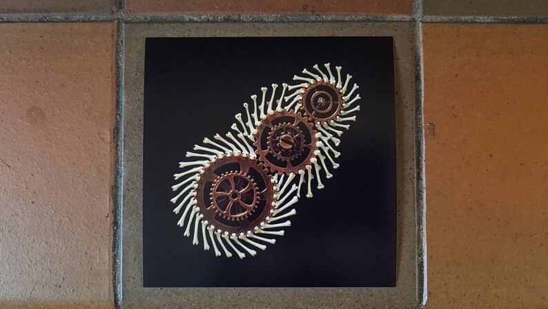 One 5x5 Inch Matte Print Of My Steampunk Owl Pellet Bone Etsy