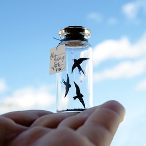 Personalised gift for girlfriend bird gift Valentine’s gift Fly away with me. I love you Gift Message in a bottle Valentine cart birthday