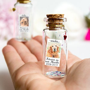 Pet Loss Forever in my heart Pet Memorial Cat Memorial Pet Memorial Message in a Bottle Cat Loss Pet Sympathy Gift Dog Loss Passing Dog Pet