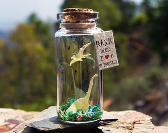 Valentines Day Gift for Boyfriend Dinosaur Gift Rawr means I love you in Dinosaur. Message in a bottle Personal Valentine&#39;s Day Mother&#39;s Day