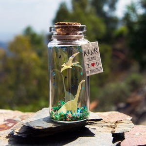 Valentines Day Gift for Boyfriend Dinosaur Gift Rawr means I love you in Dinosaur. Message in a bottle Personal Valentine's Day Mother's Day