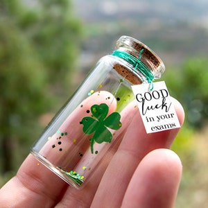 Buona fortuna. Ti auguro buona fortuna. Buona fortuna. Un messaggio in bottiglia. Miniature. Regalo personalizzato. Cartolina divertente.