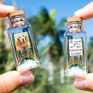 Dog Memorial, Pet Loss Gift, Pet Picture, Cat Memorial, Passing Pet, Rainbow Dog I'll Meet You at The Rainbow Bridge Dog Message in Bottle