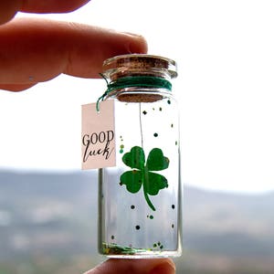 Good luck gift Best of luck Good luck with exams New job Clover Tiny message in a bottle Miniatures Personalised Gift