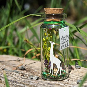 Valentine's gift. Giraffe Gift. Always Stand Tall.  I love you gift for Boyfriend. Giraffe card. Message in a bottle. Personalised Gift Love