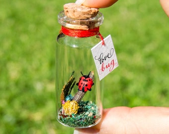Ladybug gift for girlfriend Personalized gift for boyfriend Anniversary gift for Him Bug Love Message in bottle Gift Valentine's day gifts
