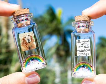 Dog Memorial, Pet Loss Gift, Pet Picture, Cat Memorial, Passing Pet, Rainbow Dog I'll Meet You at The Rainbow Bridge Dog Message in Bottle