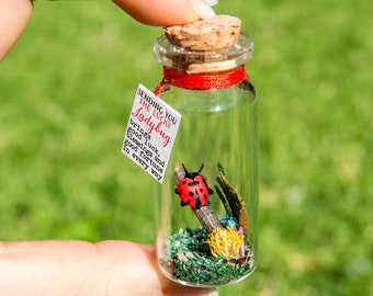 Good luck gift Best of luck little Ladybug luck New job Bug message in a bottle Miniatures Personalised Gift blessing fortune sending luck