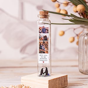 Regali fotografici con amore pinguino, regali di anniversario, messaggio personalizzato in una bottiglia, regalo personalizzato per lui, per lei, regali di San Valentino per sempre XO