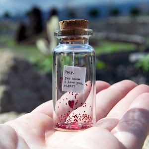 hey. you know i love you, right? Message in a bottle. Miniatures. Personalised Gift. Funny Love Card. Valentine love card. Gift for Friend